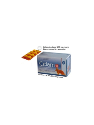Celam