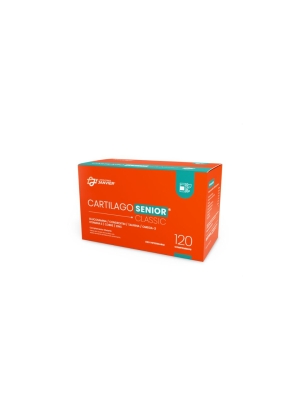 Cartílago