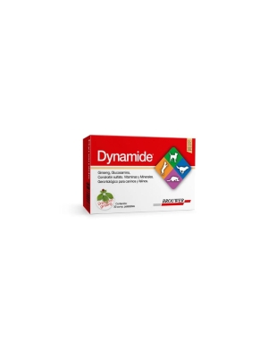 Dynamide