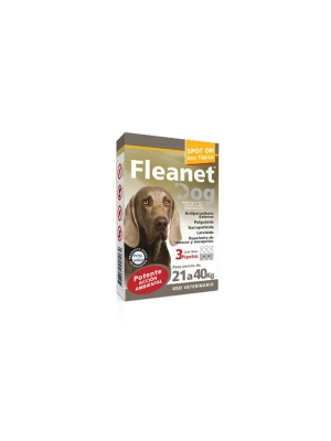 Fleanet