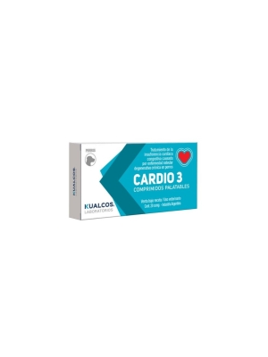 Cardio