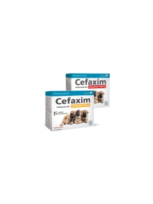 Cefaxim