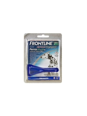Frontline