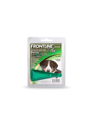Frontline