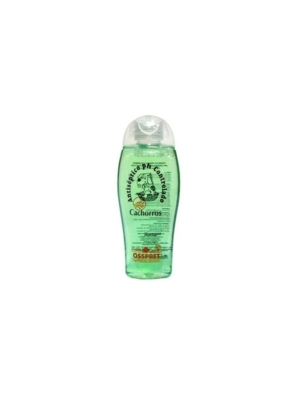 Shampoo