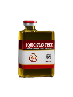 Equicistan